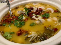 -蜀腾川·火锅鱼.烤鱼(新世界城店)