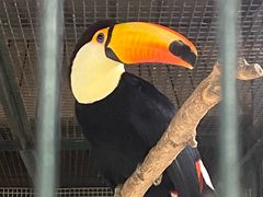 -北京野生动物园