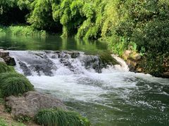-杭州植物园