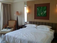 android_upload_pic-三亚亚龙湾凯莱仙人掌度假酒店