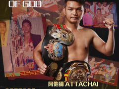 -花环泰拳·勒德斯拉泰拳馆(静安店)