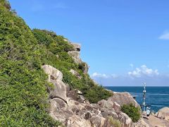 -广东惠东海龟国家级自然保护区