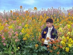 -三圣花乡旅游区