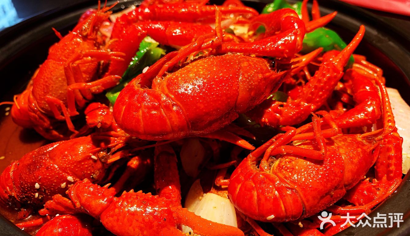 此乃小龙虾🦞界的贝勒爷!盘他盘他!