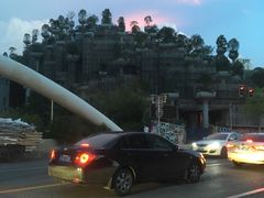 -上海市皮肤病医院(武夷路院区)