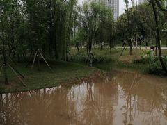-沐仙湖湿地公园