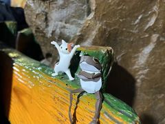 -上海大自然野生昆虫馆