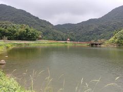 -广州市石门国家森林公园