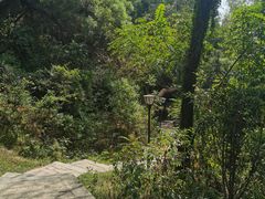 -青芝山风景名胜区