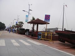 -大湾区中央湿地公园-十九涌
