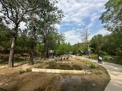 -白水寺森林公园