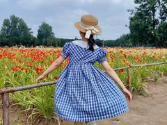 -汉长安城未央宫国家考古遗址公园