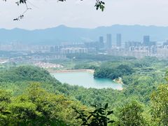 -大奇山国家森林公园