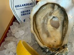-斯普汇生蚝牛排馆(中骏世界城店)