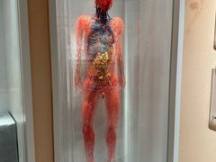 -陕西自然博物馆