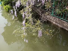 -黄兴公园