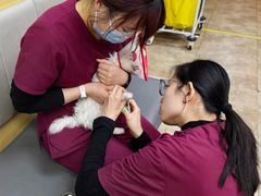 -美联众合动物医院·24h转诊中心
