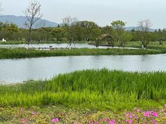 -良渚古城遗址公园