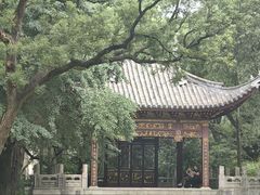 -汇龙潭