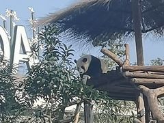 -武汉动物园