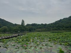 -南北湖风景区