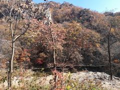 -大连天门山国家森林公园