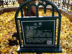 -哈尔滨文化公园