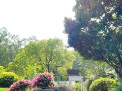 -深圳国际园林花卉博览园