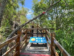 -霸王岭国家森林公园