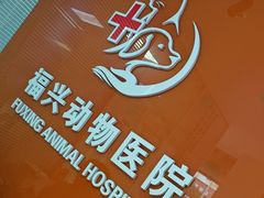 -瑞派福兴宠物医院犬猫全科·骨科·中西医结合(河东店)
