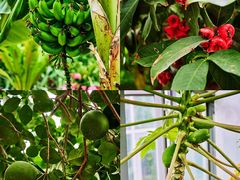 -国家植物园南园