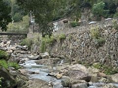 -MOJ coffee(瓯海泽雅水碓坑店)