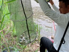-白河湾生态旅游一条川