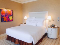 -拉斯维加斯永利酒店