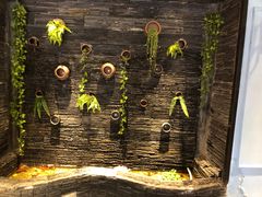 -一只烧鸡公(解放碑店)