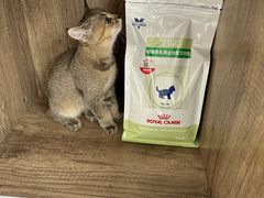 -萌兽医馆·绝育·24小时内科·宠物医院(德胜店)