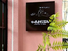 -深圳湾万象城(南山店)