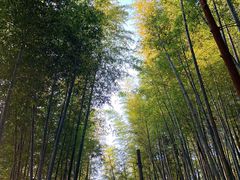 -径山寺