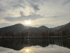 -千年银杏谷文化旅游区