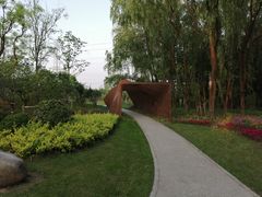 -昆山城市生态森林公园