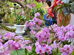 -Chom Cafe and Restaurant