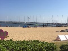 -碧海金沙