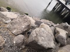 -企鹅岛
