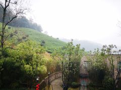 -天目湖涵田半山温泉
