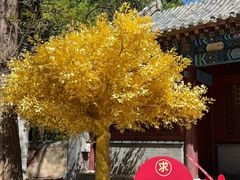 -潭柘寺景区