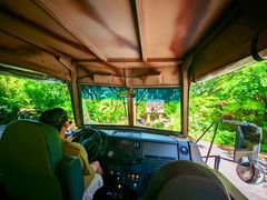 -奥兰多迪士尼动物王国乐园