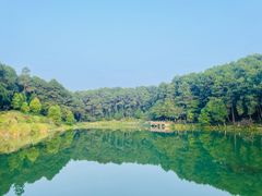 -铁山坪森林公园