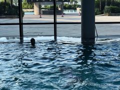 -上海滴水湖皇冠假日酒店