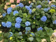-沈阳植物园