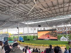 -盈香心动乐园